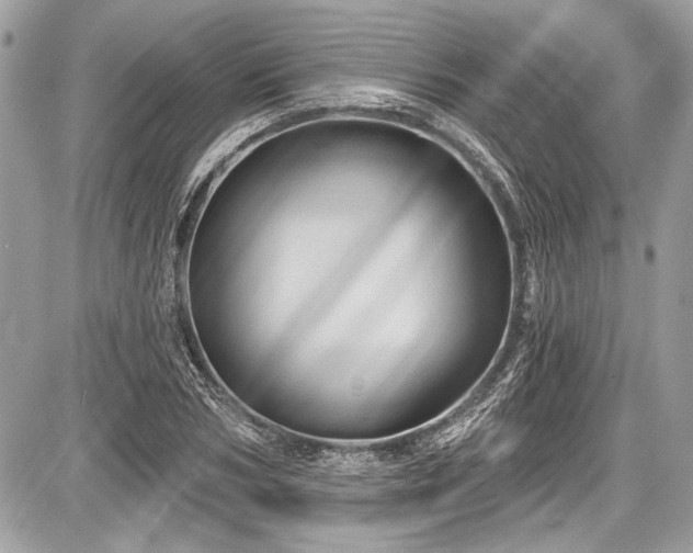 X0000087510978200705040945