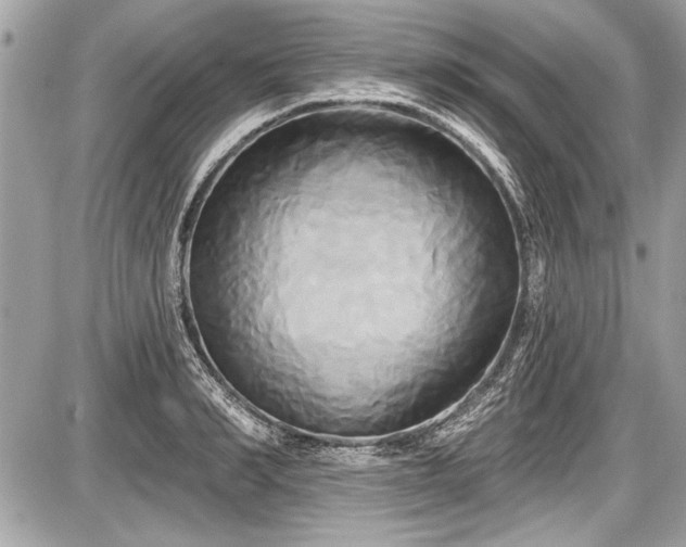 X0000087510990200705040944