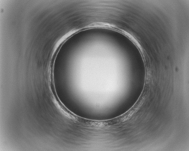 X0000087511003200705040944