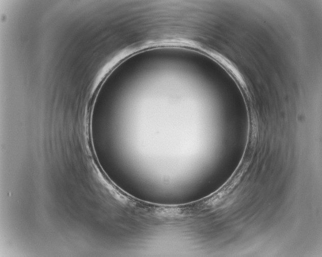 X0000087511006200705040944