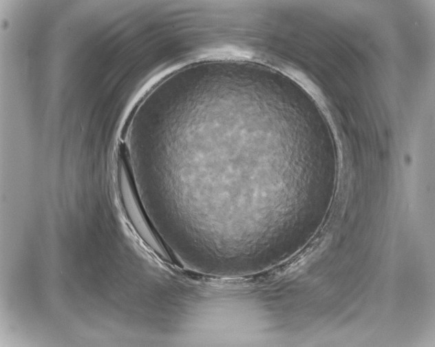 X0000087511008200705040944