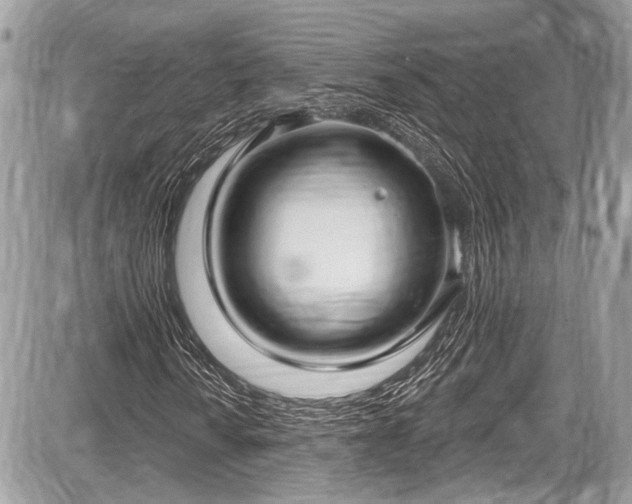 X0000087511010200705040943