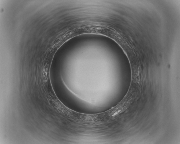 X0000087511013200705040943