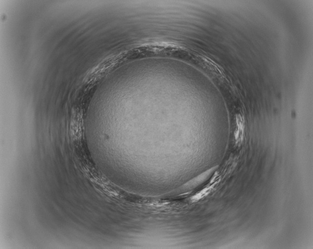 X0000087511014200705040943