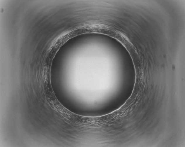 X0000087511016200705040943