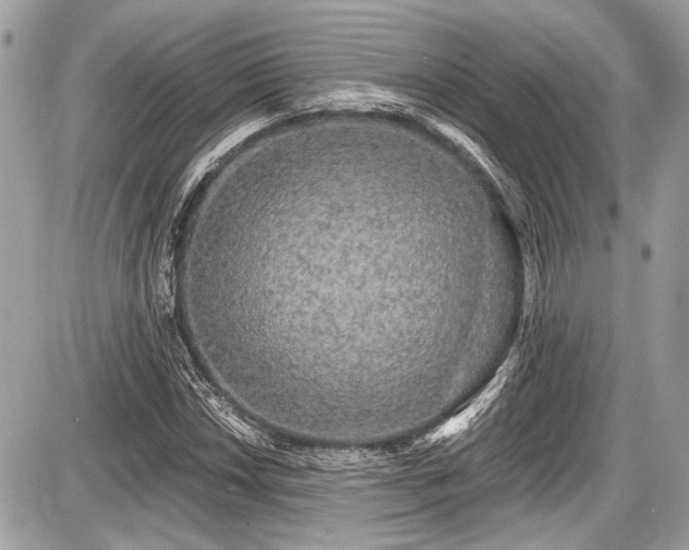 X0000087511018200705040943