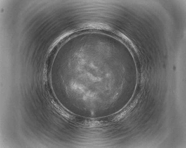 X0000087511019200705040943