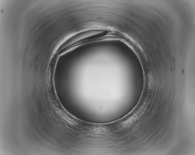 X0000087511021200705040943