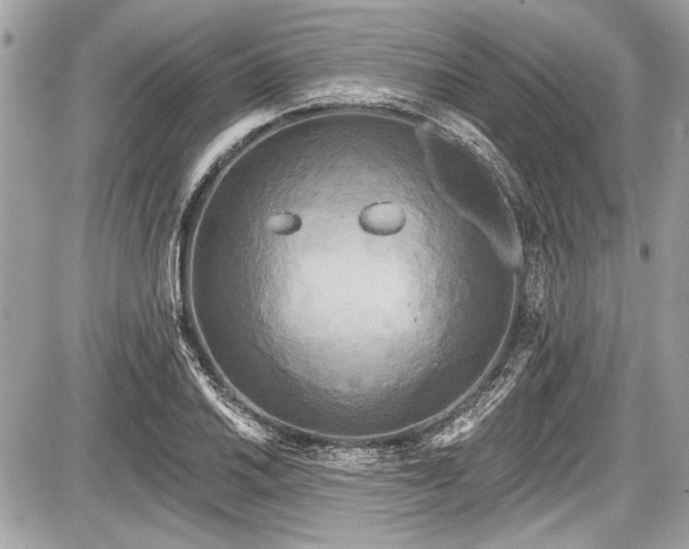 X0000087511030200705040944