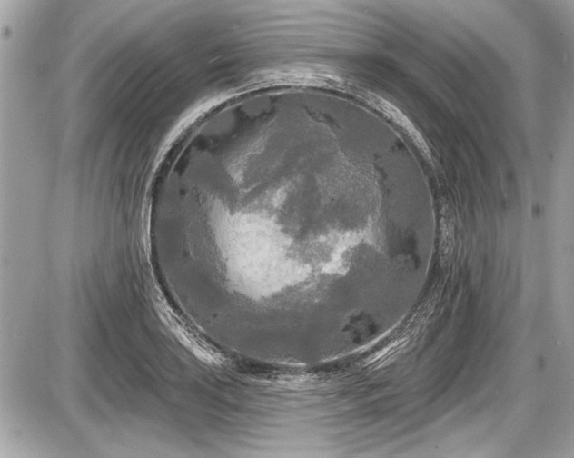 X0000087511035200705040944