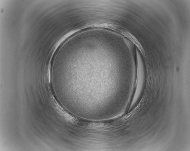 X0000087511036200705040944