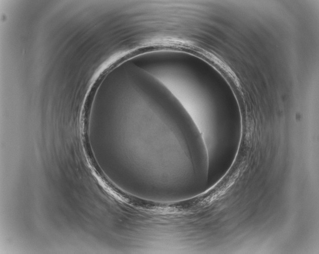 X0000087511037200705040944
