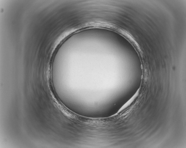 X0000087511040200705040944