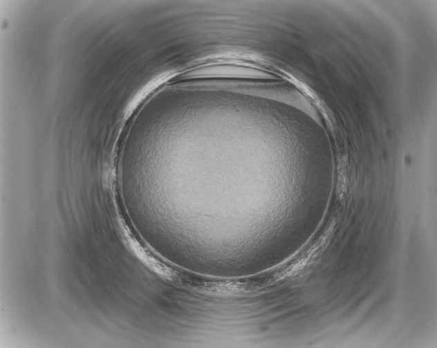 X0000087511042200705040944