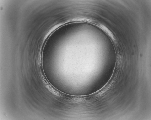 X0000087511044200705040944