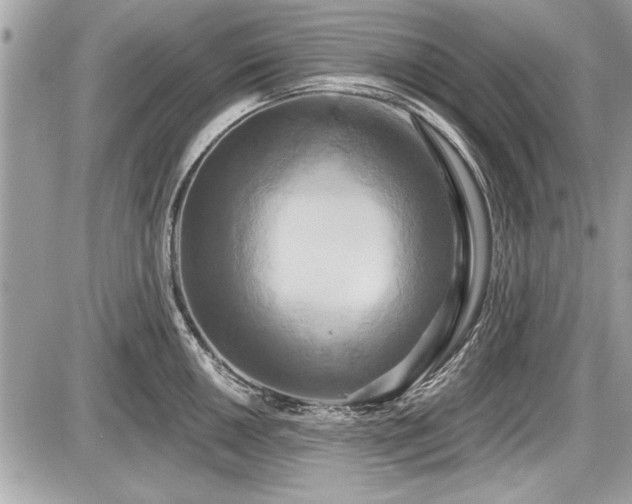 X0000087511050200705040944