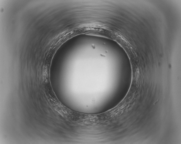 X0000087511062200705040943