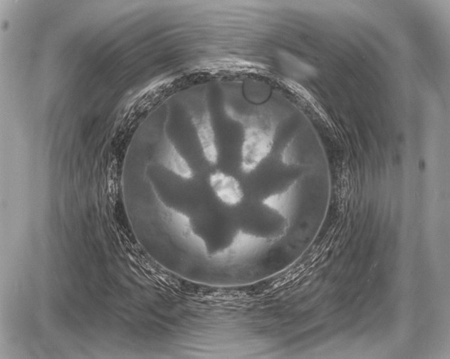 X0000087511063200705040943