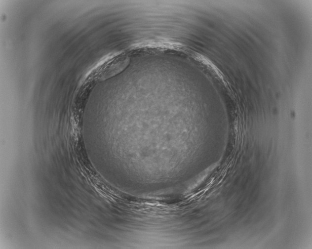 X0000087511064200705040943