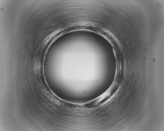 X0000087511065200705040943