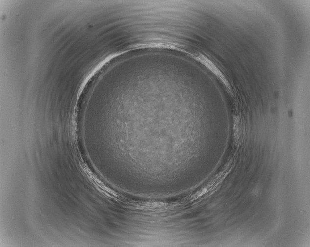 X0000087511068200705040943