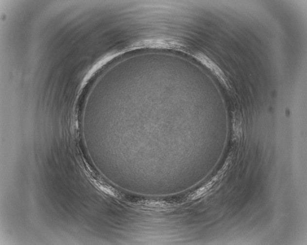 X0000087511070200705040943