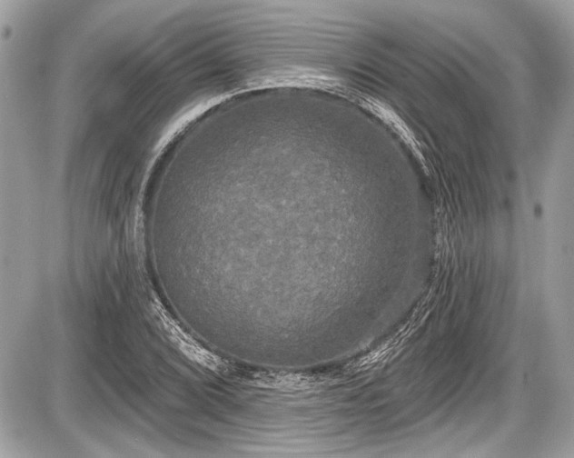 X0000087511072200705040943