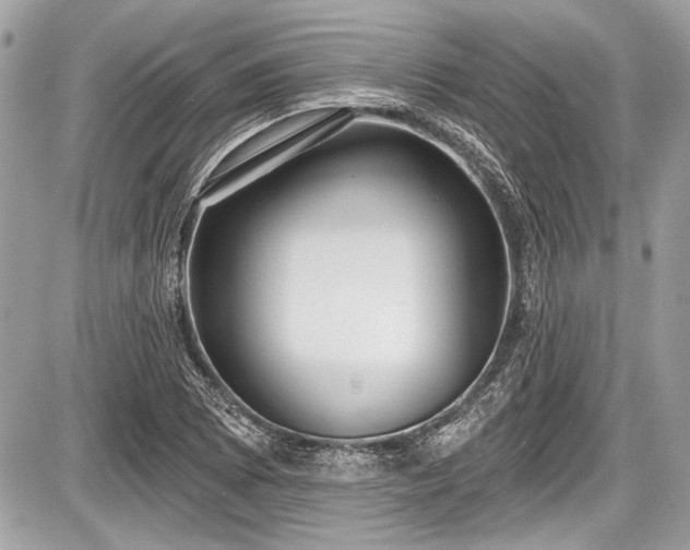 X0000087511073200705040943