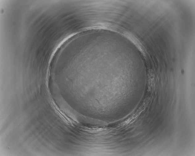 X0000087511076200705040943