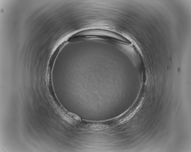 X0000087511077200705040943