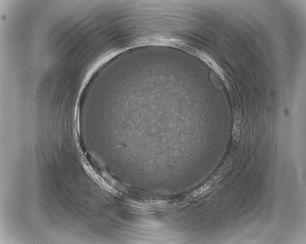 X0000087511080200705040943