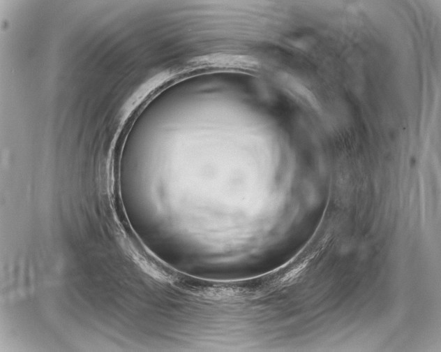 X0000087511082200705040943