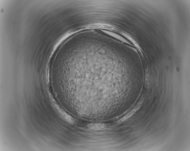 X0000087511083200705040943