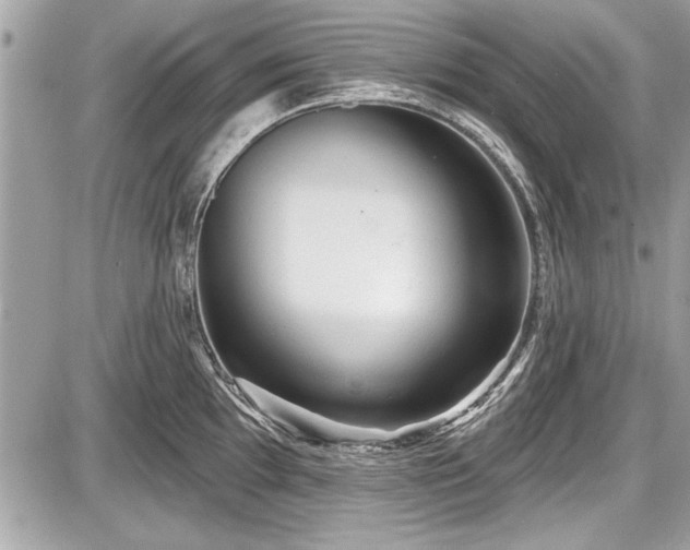 X0000087511097200705040943