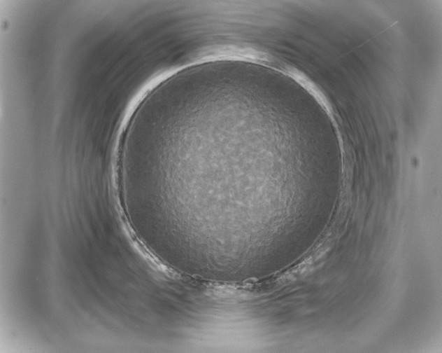 X0000087511104200705040942