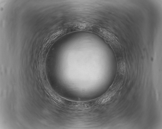 X0000087511105200705040942