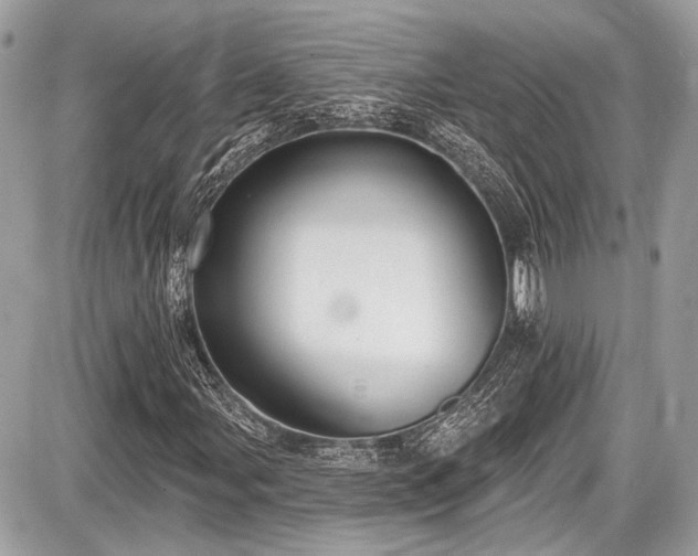 X0000087511107200705040942