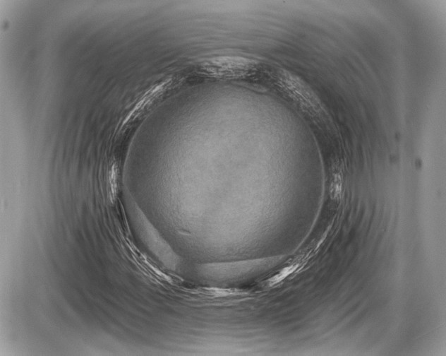 X0000087511108200705040942