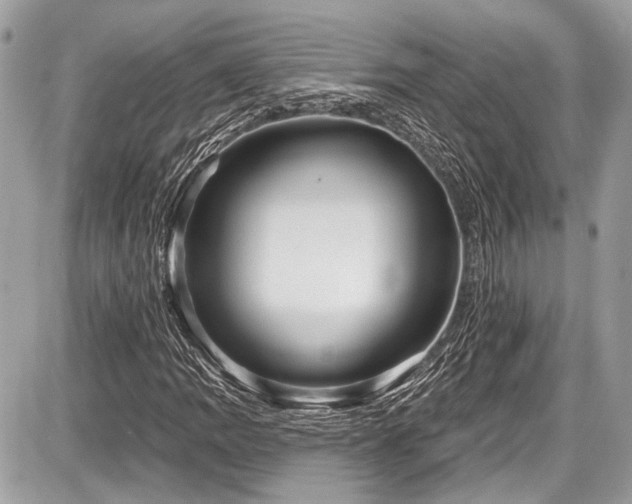 X0000087511109200705040942