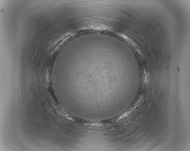 X0000087511110200705040942