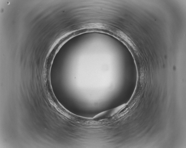 X0000087511116200705040942