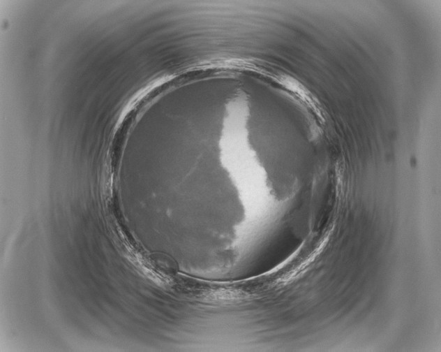 X0000087511117200705040942