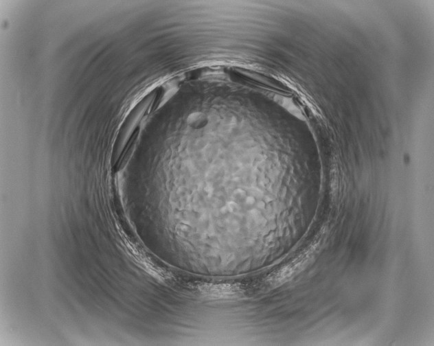 X0000087511121200705040942