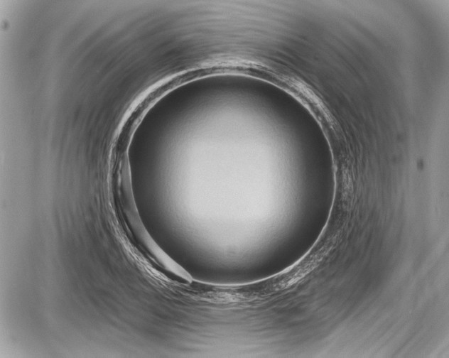 X0000087511124200705040942