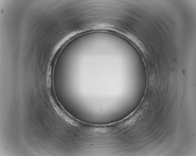 X0000087511126200705040942