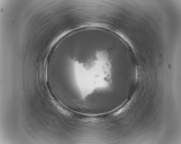 X0000087511127200705040942