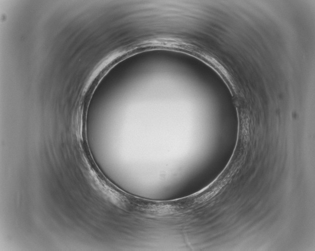 X0000087511131200705040942