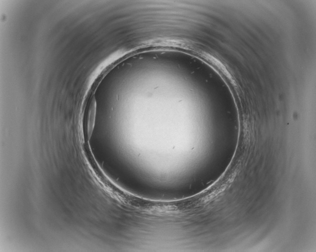 X0000087511133200705040942