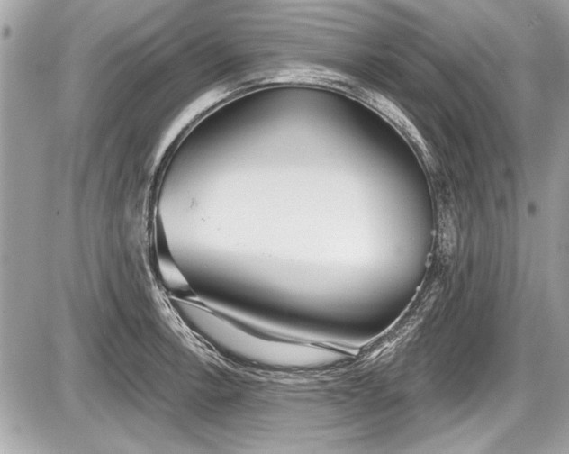 X0000087511138200705040942