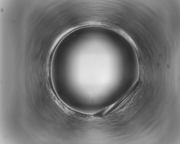 X0000087511148200705040942